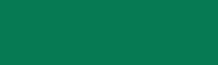 цвет (43) зеленый