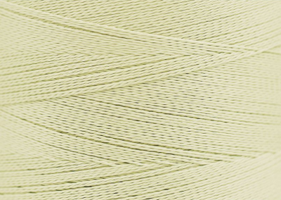 5004