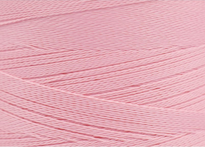 1010